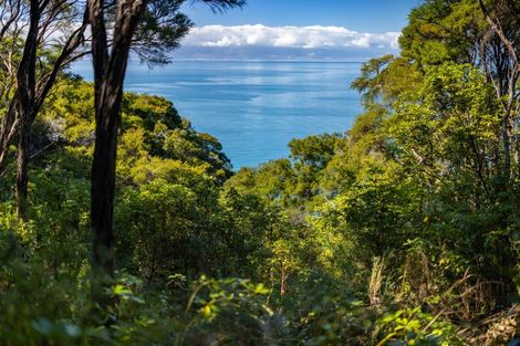 Photo of property in 180 Tokongawa Drive, Kaiteriteri, Motueka, 7197