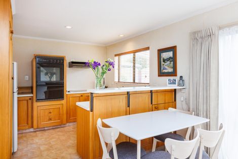 Photo of property in 483b Ruahine Street, Terrace End, Palmerston North, 4410
