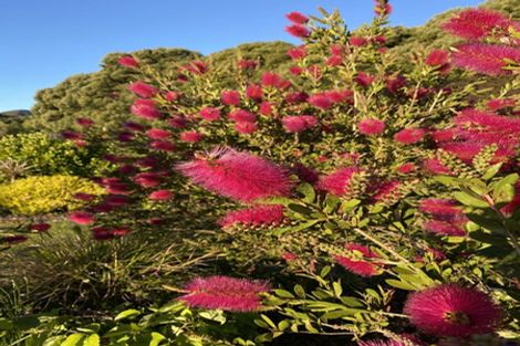 Photo of property in 26 Lacebark Drive, Kinloch, Taupo, 3377