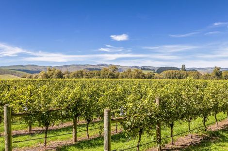 Photo of property in 1114 Omihi Road, Omihi, Amberley, 7483