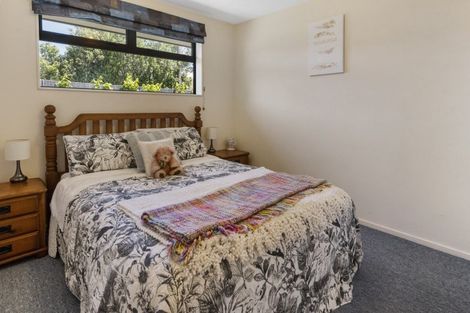 Photo of property in 43 Havelock Street, Renwick, 7204