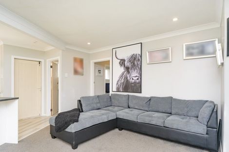 Photo of property in 42 Lincoln Street, Ashhurst, 4810