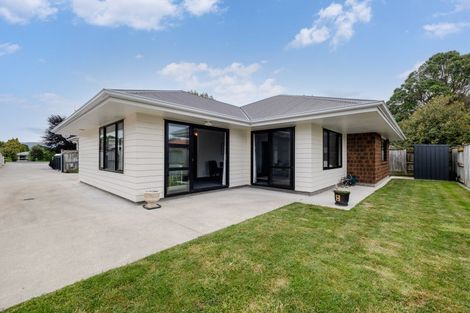 Photo of property in 87a College Street, Awapuni, Palmerston North, 4412