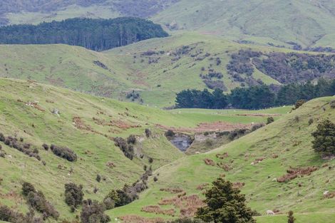 Photo of property in 79a Range Road, Pongaroa, 4990