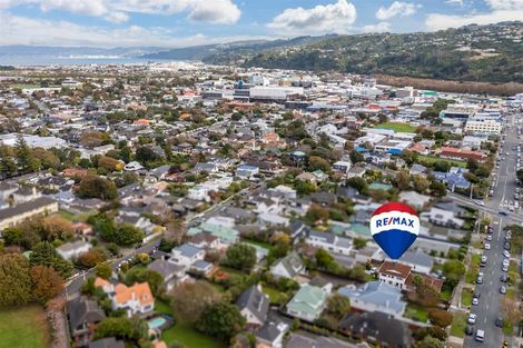 Photo of property in 56b Pretoria Street, Hutt Central, Lower Hutt, 5010
