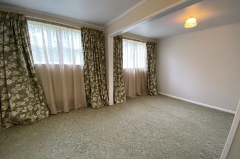 Photo of property in 38 Limbrick Street, Terrace End, Palmerston North, 4410