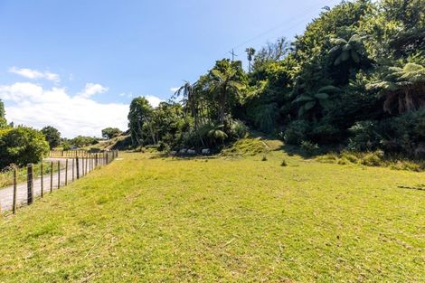 Photo of property in 48 Hammond Street, Hairini, Tauranga, 3112