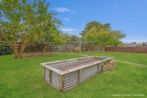 Photo of property in 14 Kowhai Avenue, Morrinsville, 3300