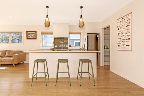 Photo of property in 58 Awapuni Road, Awapuni, Gisborne, 4010