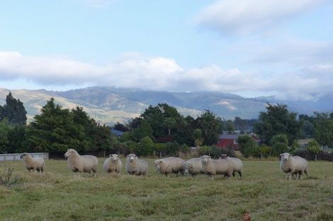 Photo of property in High Street, Waimate, 7924