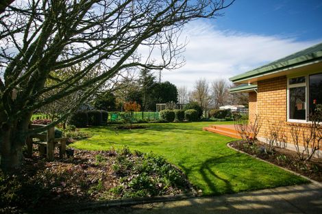 Photo of property in 10 Kittow Street, Tirau, 3410