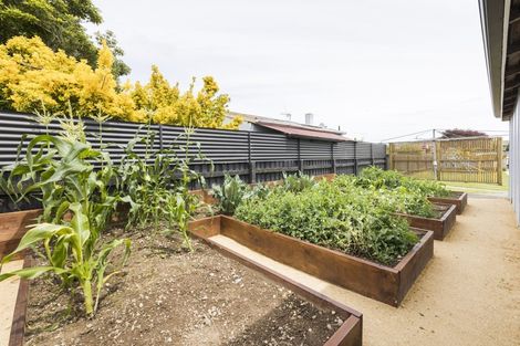 Photo of property in 10 Oriana Place, Highbury, Palmerston North, 4412