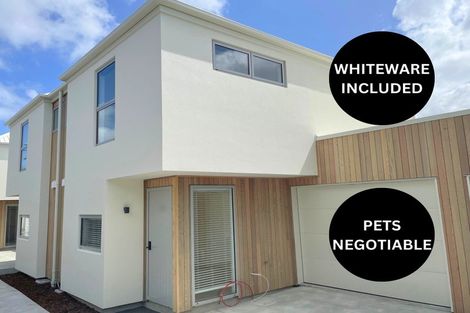 Photo of property in 17c Dickens Street, Addington, Christchurch, 8024