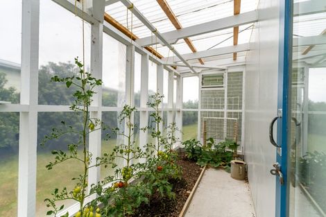 Photo of property in 113 Beach Street, Waikouaiti, 9510