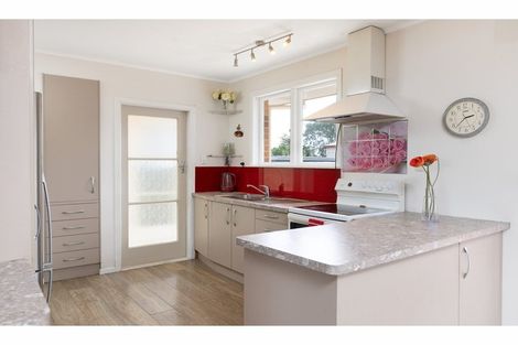 Photo of property in 47 Rimu Street, Gate Pa, Tauranga, 3112