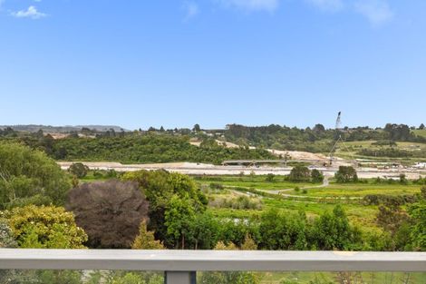 Photo of property in 91 Coopers Road, Gate Pa, Tauranga, 3112