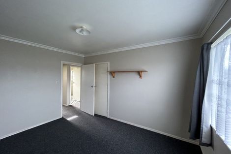Photo of property in 21 Braemar Street, Levin, 5510