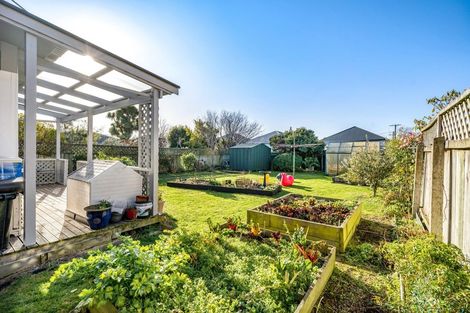 Photo of property in 5 Nile Street, Saint Clair, Dunedin, 9012