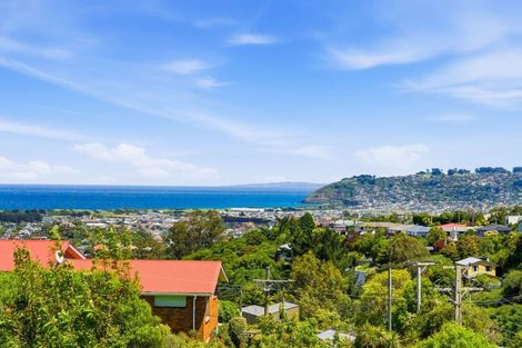 Photo of property in 40 Tower Avenue, Waverley, Dunedin, 9013