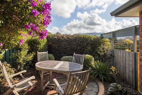 Photo of property in 16 Donegal Place, Katikati, 3129