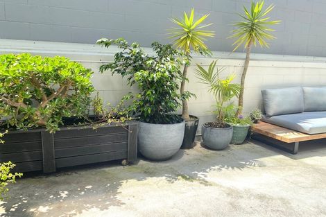 Photo of property in 8/8 Clayton Street, Newmarket, Auckland, 1023