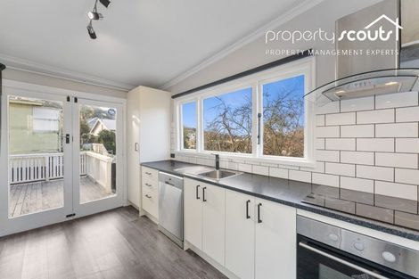 Photo of property in 11 Peter Street, Caversham, Dunedin, 9012