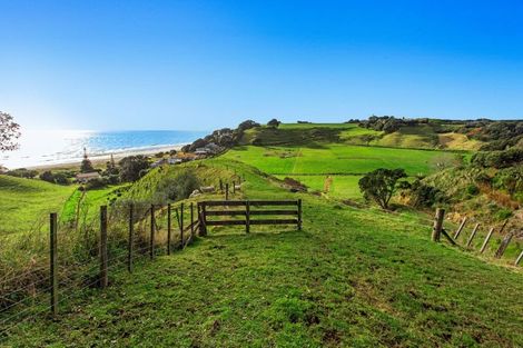 Photo of property in 59 Pohutukawa Drive, Waiotahe, Opotiki, 3198