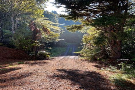 Photo of property in Birdsnest Holiday Ventures, 990 Trounson Park Road, Donnellys Crossing, Dargaville, 0379
