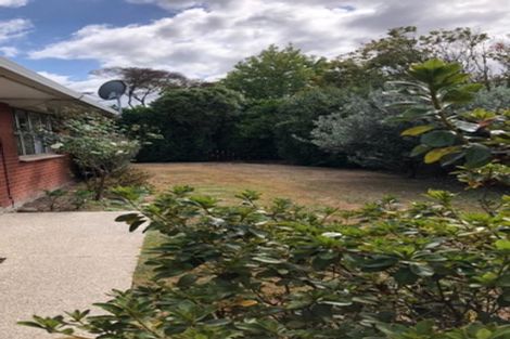 Photo of property in 13a Lorraine Place, Glenview, Hamilton, 3206