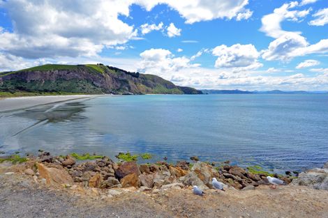 Photo of property in 51 Moana Street, Aramoana, Port Chalmers, 9082