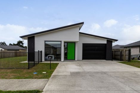 Photo of property in 104 Hinemoa Street, Levin, 5510