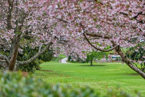 Photo of property in 10 Serenity Drive, Omokoroa, 3114