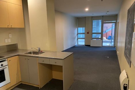 Photo of property in Hanson House, 1a/27 Hanson Street, Mount Cook, Wellington, 6021
