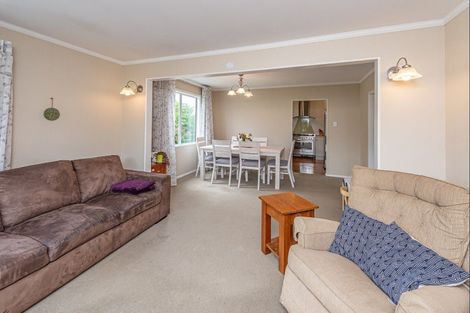 Photo of property in 43 Parkes Avenue, Saint Johns Hill, Whanganui, 4501
