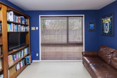 Photo of property in 17 Mcdougall Avenue, St Albans, Christchurch, 8014