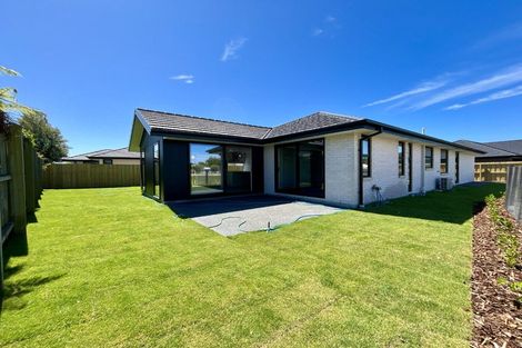 Photo of property in 13 Kildare Street, Belfast, Christchurch, 8051