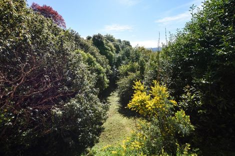 Photo of property in 13 Littlebourne Road, Roslyn, Dunedin, 9010