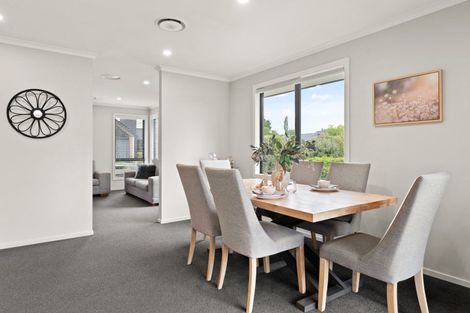 Photo of property in 13 Three Kings Court, Outram, 9019