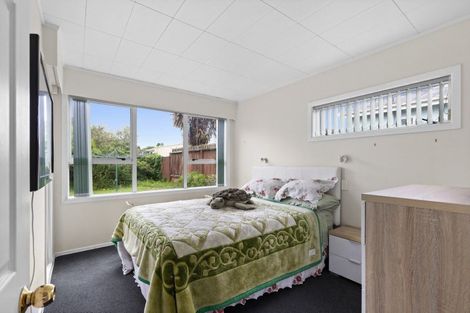 Photo of property in 113 Buckland Street, Putaruru, 3411