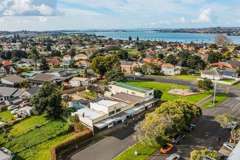 Photo of property in 14 Hobson Drive, Panmure, Auckland, 1072