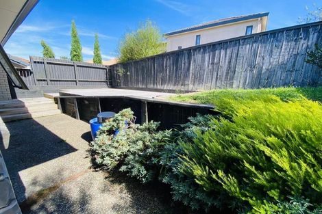 Photo of property in 8 Living Stream Road, Albany Heights, Auckland, 0632