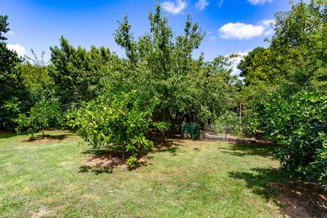 Photo of property in 57 Saddleton Road, Clarks Beach, Pukekohe, 2679