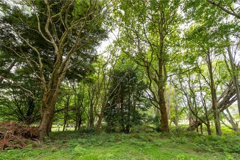 Photo of property in 73 Castle Hill Road, Alfredton, Eketahuna, 4996