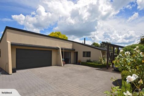 Photo of property in 19 Waitui Grove, Mount Maunganui, 3116