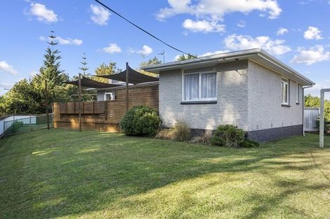 Photo of property in 38 Allen Street, Morrinsville, 3300