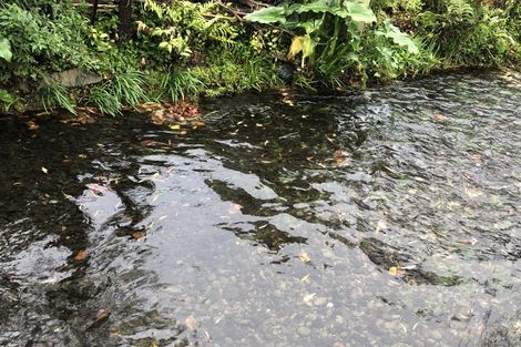 Photo of property in 21 Glandovey Road, Fendalton, Christchurch, 8052