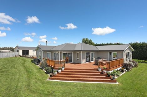 Photo of property in 225 Makara Road, Halcombe, Feilding, 4779