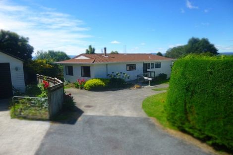 Photo of property in 25 Hillcrest Street, Tirau, 3410
