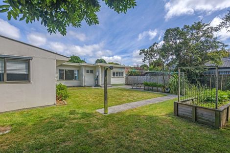 Photo of property in 17 Manawatu Street, Hokowhitu, Palmerston North, 4410