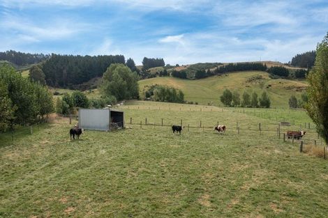 Photo of property in 74 Woodside Road, Woodside, Outram, 9073